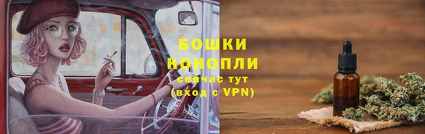 мдпв Вяземский